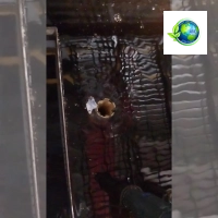 ASE (Agua Y Saneamiento Ecológico)